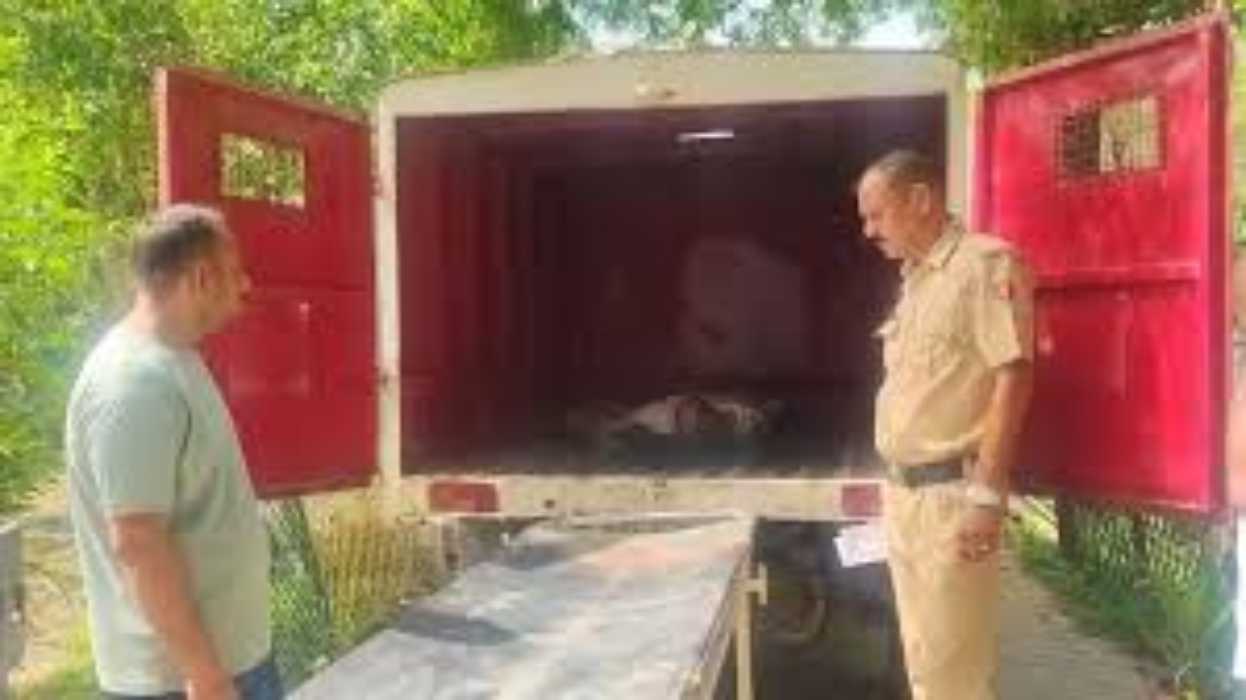 गढ़ी बाला के चौकीदार की पीट-पीटकर हत्या, बिंदरौली के खेत में मिला शव